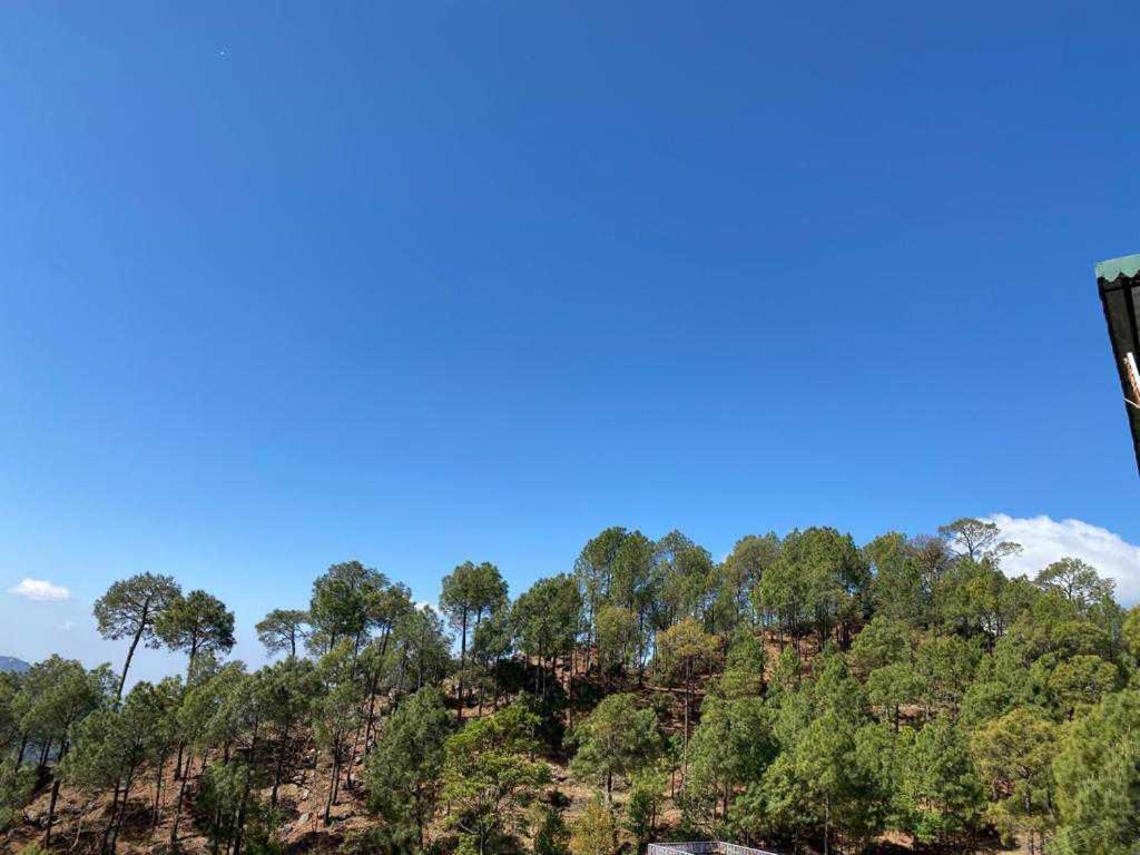Satyam Home Stay Kasauli Dharampur Екстер'єр фото